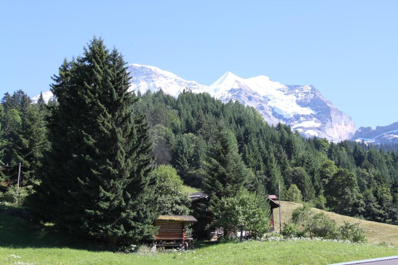 Staubbachbaenkli Daire Wengen Dış mekan fotoğraf