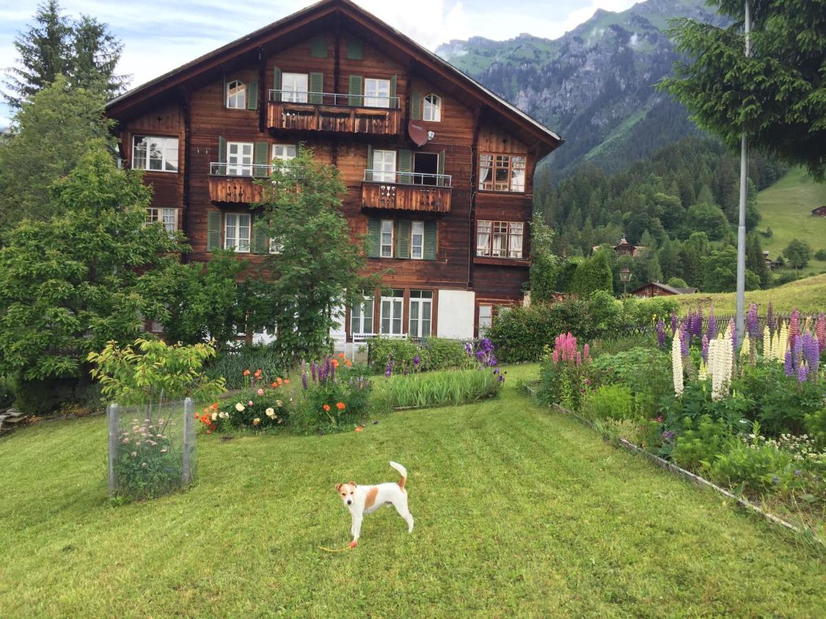 Staubbachbaenkli Daire Wengen Dış mekan fotoğraf