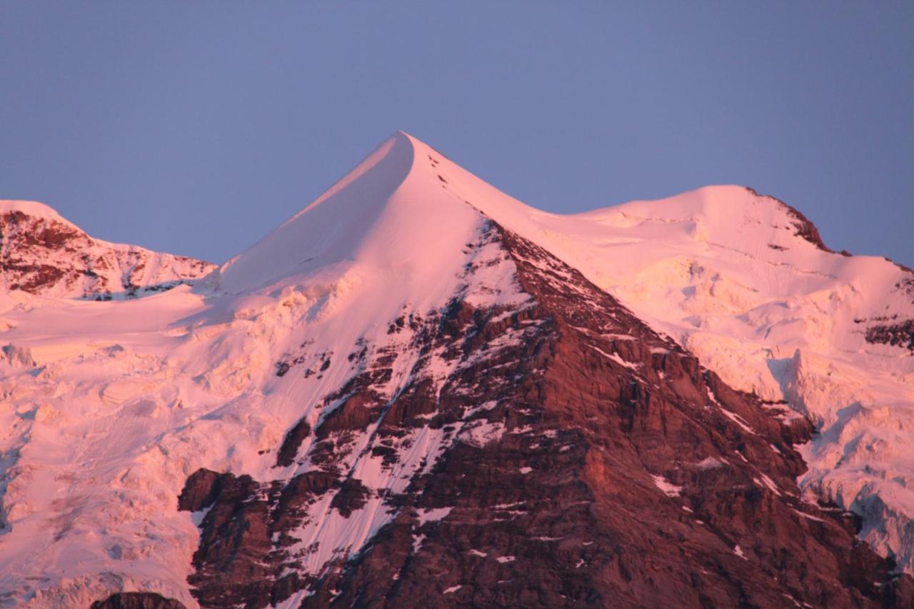 Staubbachbaenkli Daire Wengen Dış mekan fotoğraf