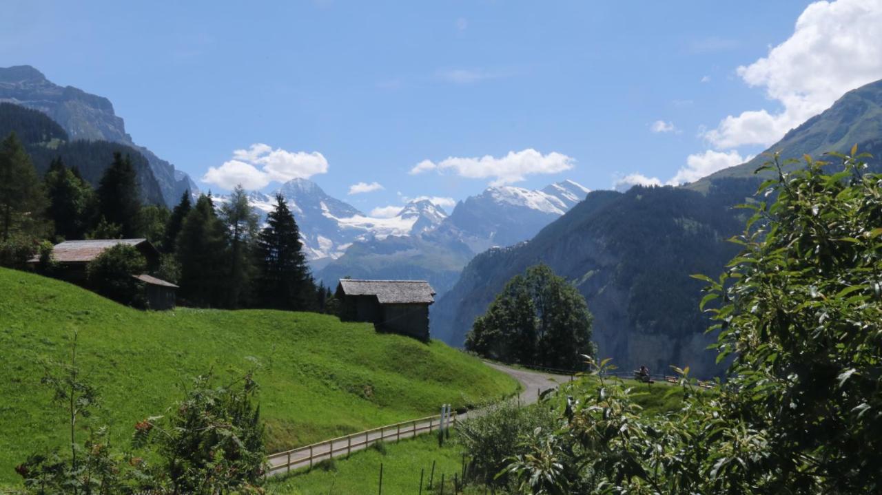 Staubbachbaenkli Daire Wengen Dış mekan fotoğraf