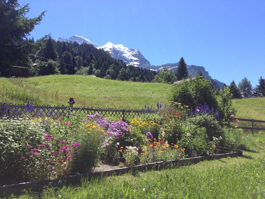 Staubbachbaenkli Daire Wengen Dış mekan fotoğraf