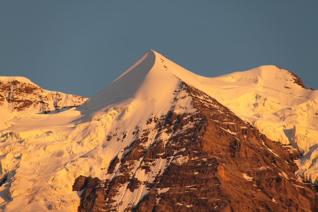 Staubbachbaenkli Daire Wengen Dış mekan fotoğraf