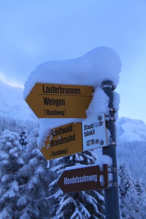 Staubbachbaenkli Daire Wengen Dış mekan fotoğraf