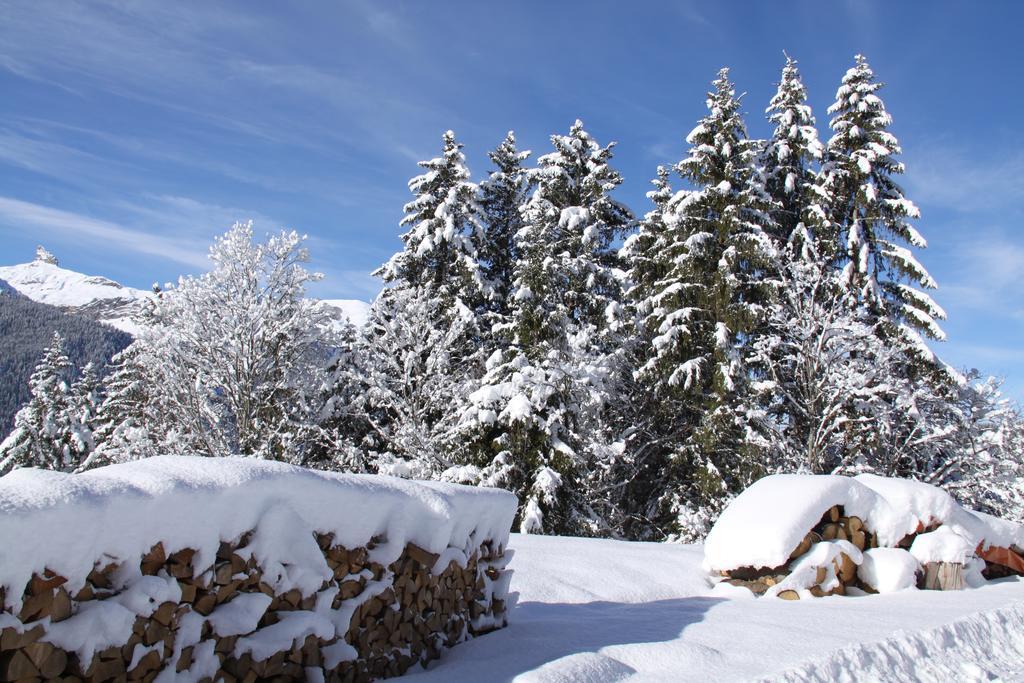 Staubbachbaenkli Daire Wengen Dış mekan fotoğraf