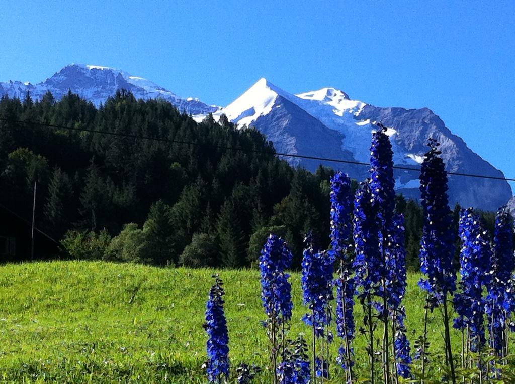Staubbachbaenkli Daire Wengen Dış mekan fotoğraf