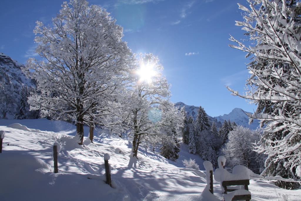 Staubbachbaenkli Daire Wengen Dış mekan fotoğraf