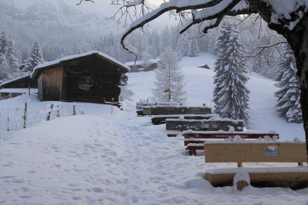 Staubbachbaenkli Daire Wengen Dış mekan fotoğraf